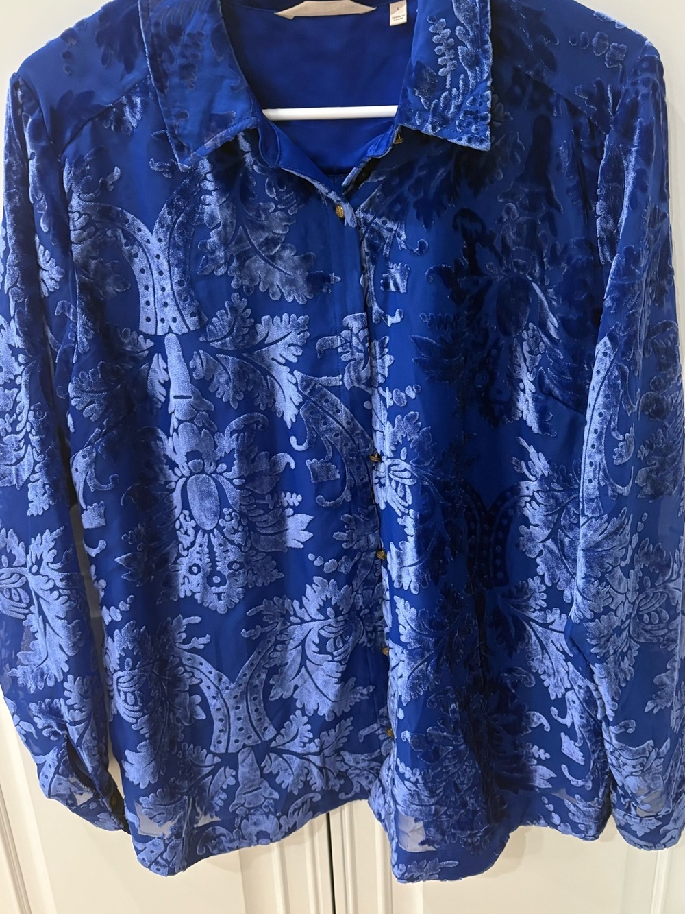 Women’s Blue Velvet Burnout Button-Up Shirt